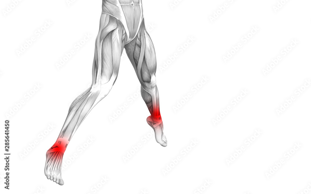 Conceptual ankle human anatomy with red hot spot inflammation or articular joint pain for leg health care therapy or sport muscle concepts. 3D illustration man arthritis or bone osteoporosis disease Conceptual ankle human anatomy with red hot spot inflammation or articular joint pain for leg health care therapy or sport muscle concepts. 3D illustration man arthritis or bone osteoporosis disease