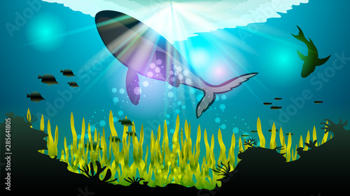 Realistic underwater seascape