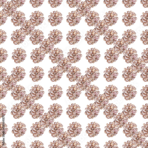 Pine cone seamless pattern Watercolor background. Hand drawn illustration. Grey colorful clip art on white background