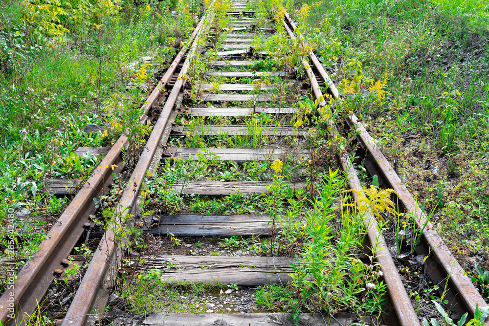 abandoned railway. Rails overgrown with grass.
