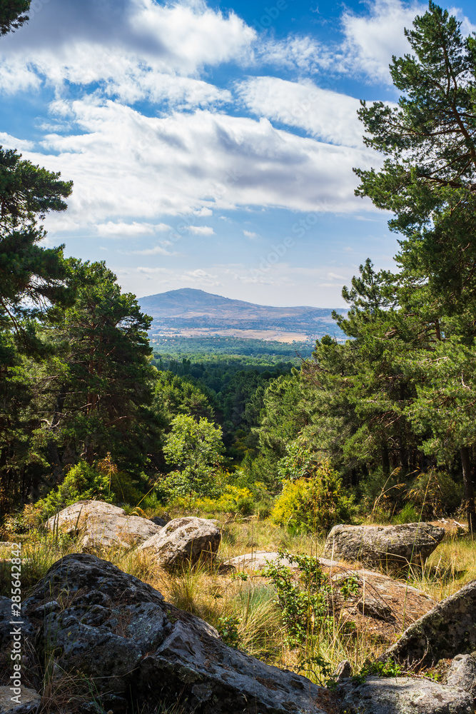 Landscape from the clearing of a forest Landscape from the clearing of a forest