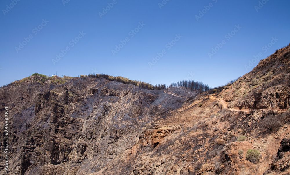 Gran Canaria after wild fire Gran Canaria after wild fire