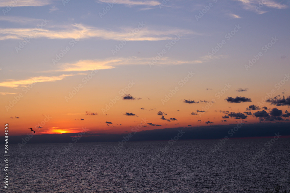 wispy clouds and seagull at sunset over lake erie wispy clouds and seagull at sunset over lake erie