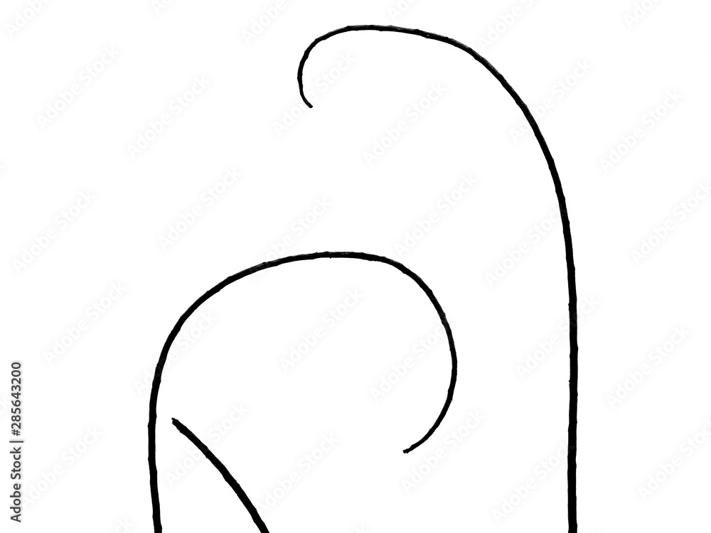 Obraz premium abstract silhouette branch of tree on white background