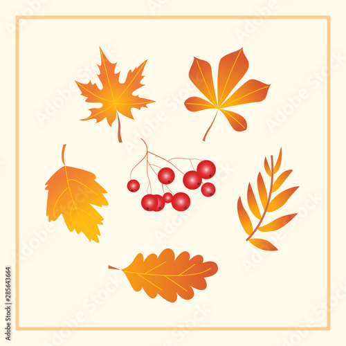 autumn leaves set