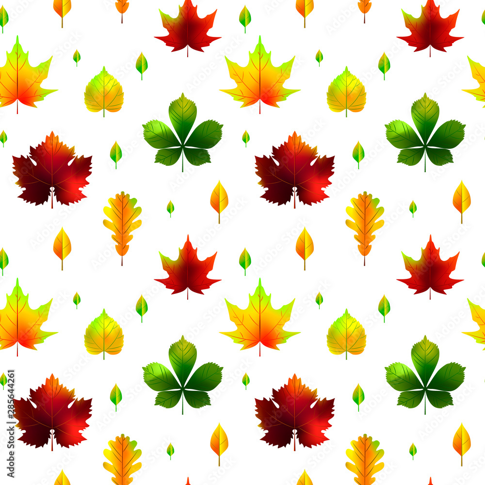 Obraz premium Autumn leaves seamless pattern isolated on white. Vector illustration