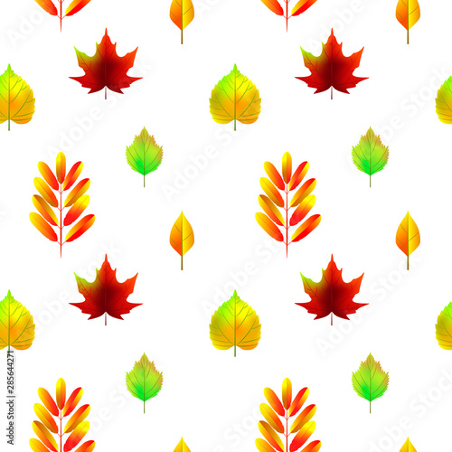 Autumn leaves seamless pattern isolated on white. Vector illustration