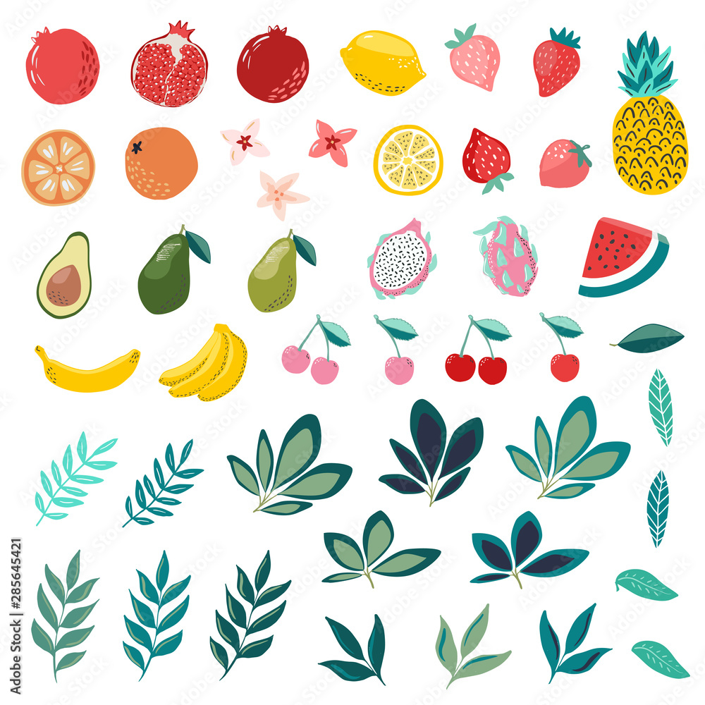 Set of hand drawn fruits in modern hand drawn scandinavian style, tropical garden, pomegranate, citrus, lemon, orange, pineapple, strawberry, watermelon. tropical leaves. Trendy vector illustration Set of hand drawn fruits in modern hand drawn scandinavian style, tropical garden, pomegranate, citrus, lemon, orange, pineapple, strawberry, watermelon. tropical leaves. Trendy vector illustration