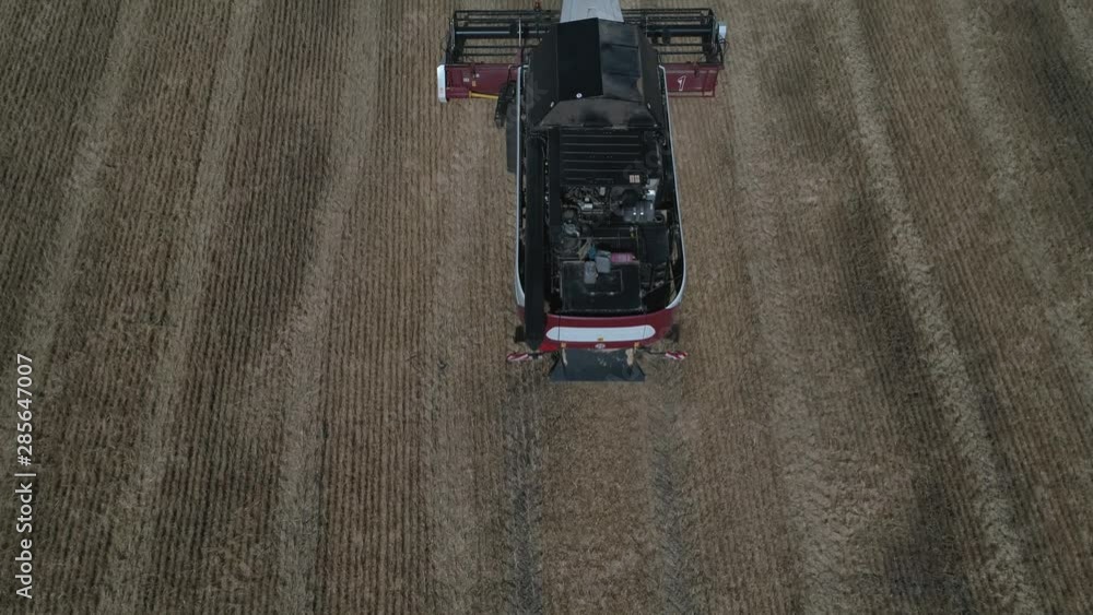 The harvester works in the field. Combine harvester collects ripe golden wheat on the field. The concept of agricultural activity. Collective farmers are harvesting work. Healthy, Organic The harvester works in the field. Combine harvester collects ripe golden wheat on the field. The concept of agricultural activity. Collective farmers are harvesting work. Healthy, Organic