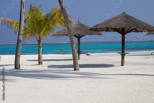 Tropical beach with Palm Trees and Thatched Umbrellas