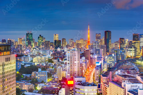 Tokyo, Japan City Skyline