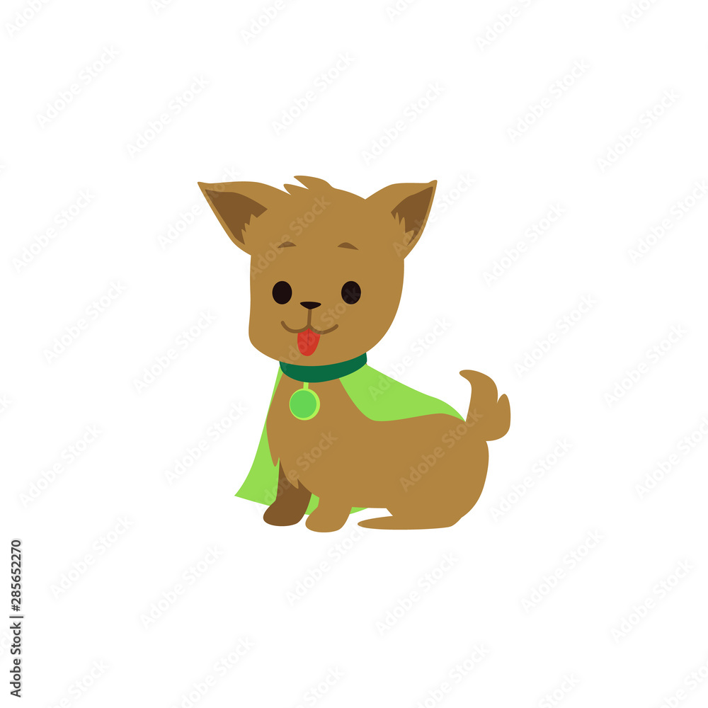 Cute and funny puppy and dog superhero in a green cape. Cute and funny puppy and dog superhero in a green cape.
