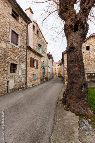 Wallpaper Mural The village of Lago in the Trevigiani hills Torontodigital.ca