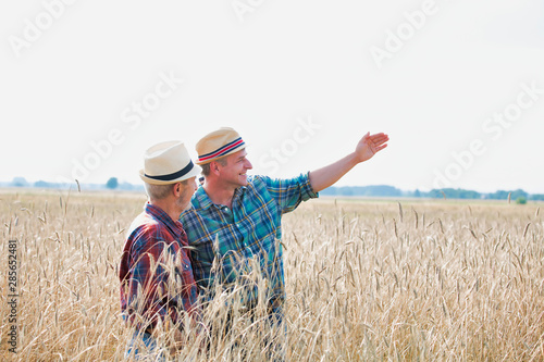 Mature farmer showing field to senior farmer in field © moodboard