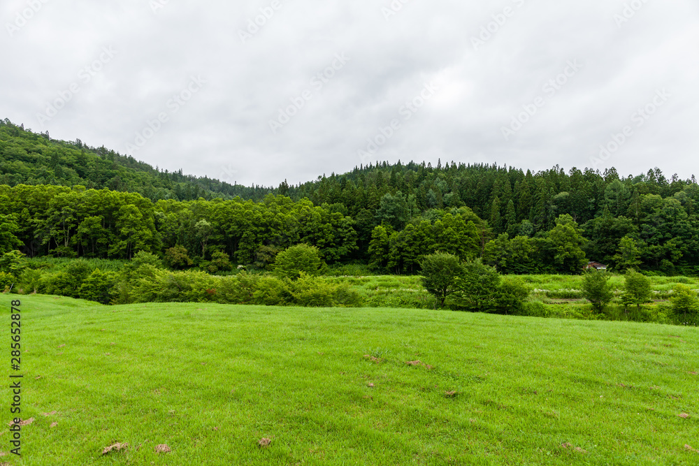 Fototapeta premium 自然 登山 旅行 白馬大池 