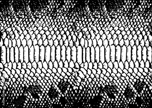 texture pattern black white snake crocodile reptile seamless repeat. Print