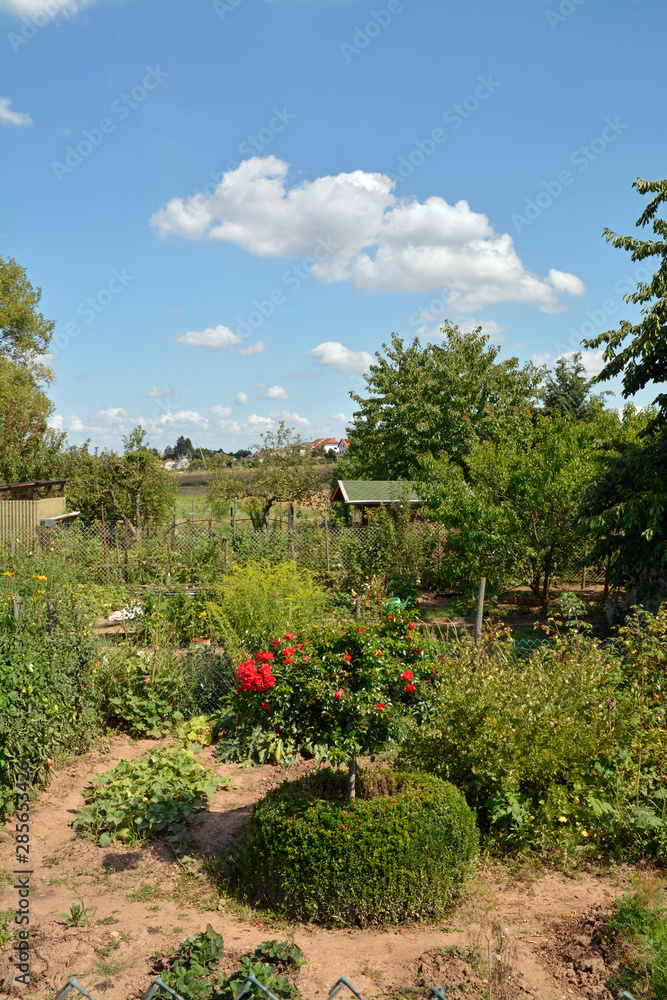 Naklejka premium sommerliche gartenlandschaft