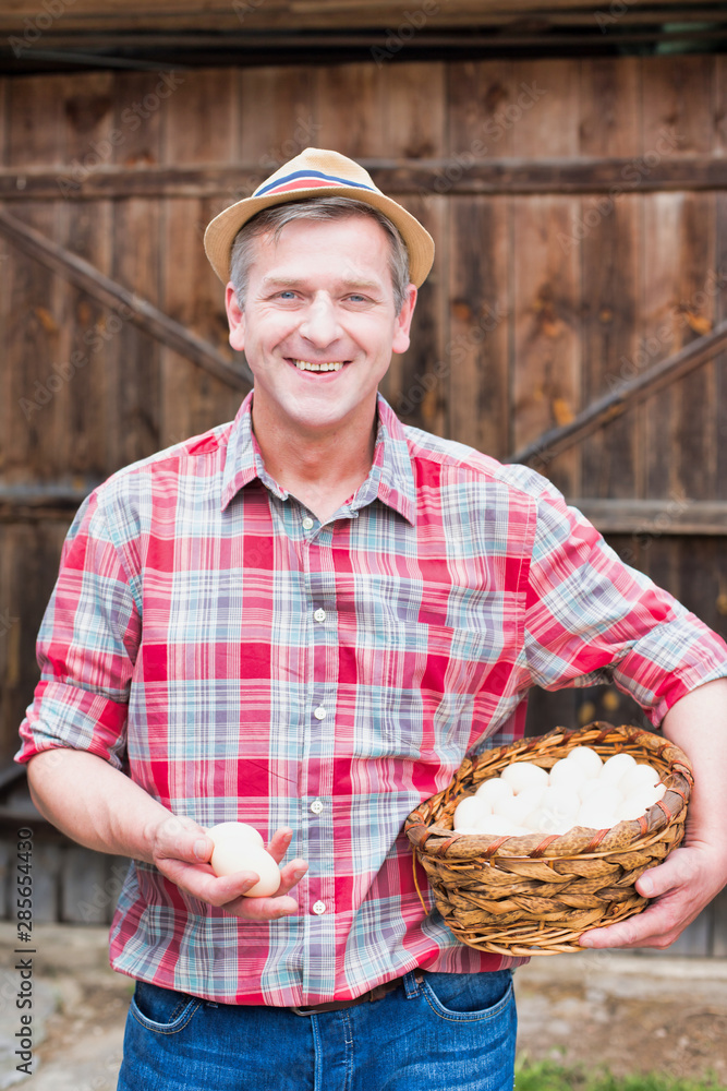 Mature farmer carrying eggs in basket against barn in farm Mature farmer carrying eggs in basket against barn in farm