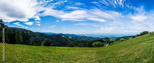Germany, XXL panorama of german black forest nature landscape perfect for hiking at st ulrich near freiburg im breisgau with endless forest scenery © Simon