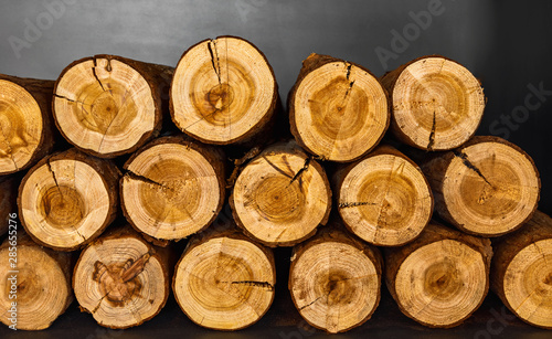Chopped firewood. Natural wooden background.