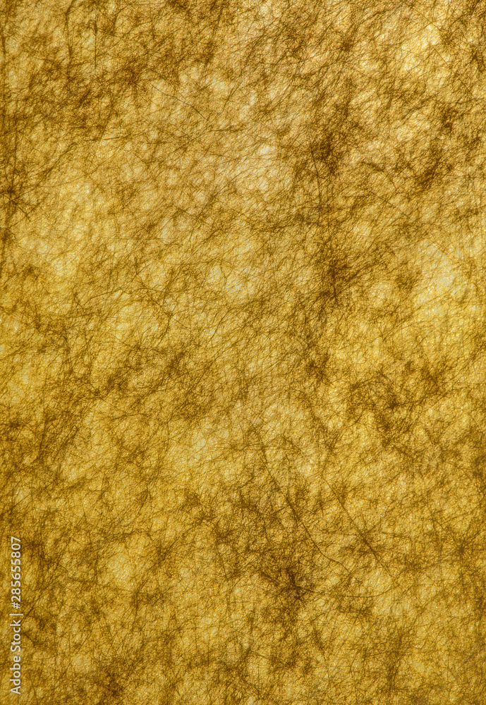 Golden texture. Golden texture.