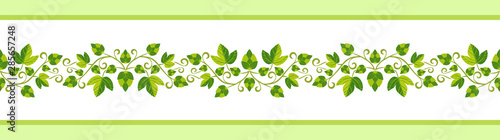 Hop plant hand drawn pattern seamless border isolated