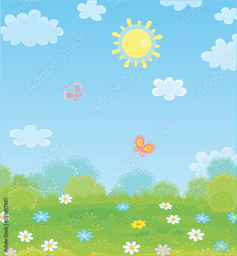 Colorful playful butterflies flying over a green field with wildflowers on a pretty summer day, vector illustration in a cartoon style