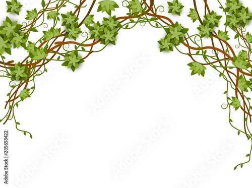 Tropical jungle lianas banner for wedding cards and invitations vector illustration.