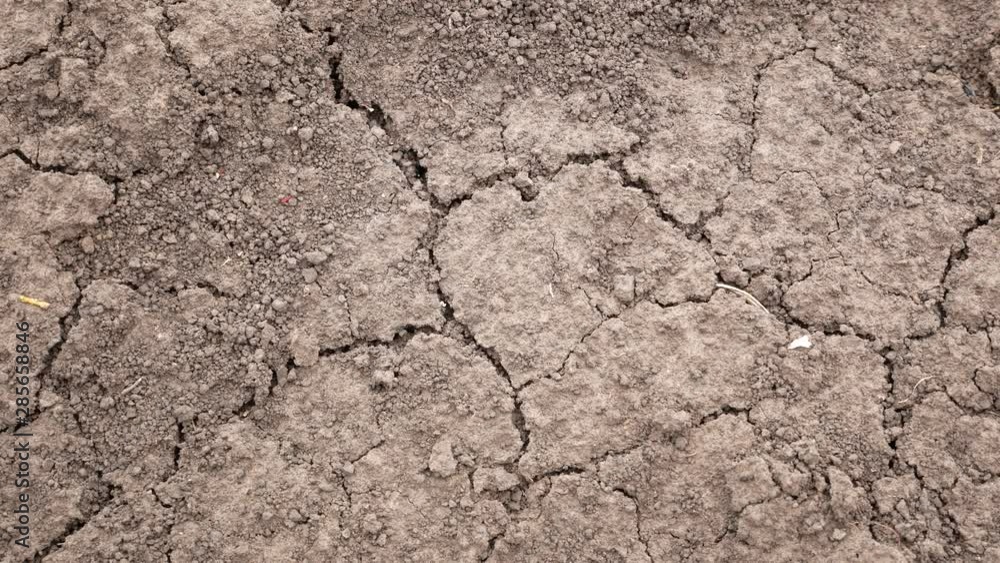 Black dry cracked earth. Chernozem. A few months without rain. Global warming Black dry cracked earth. Chernozem. A few months without rain. Global warming