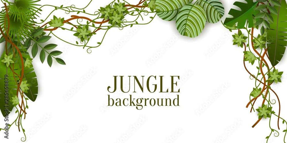 Green jungle plants background hanging from above, tropical exotic palm leaves and liana branches - obrazy, fototapety, plakaty 