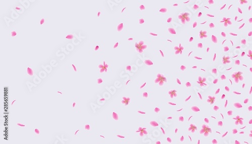 Pink sakura flower petals floating in the wind - abstract background