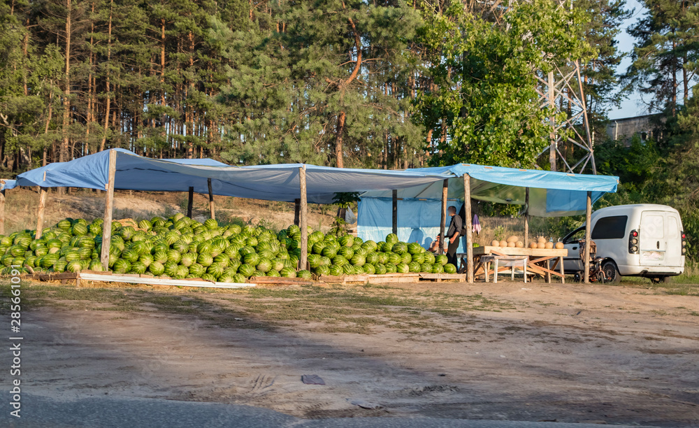 watermelons and melons in a spontaneous market watermelons and melons in a spontaneous market