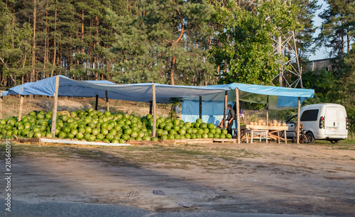 watermelons and melons in a spontaneous market