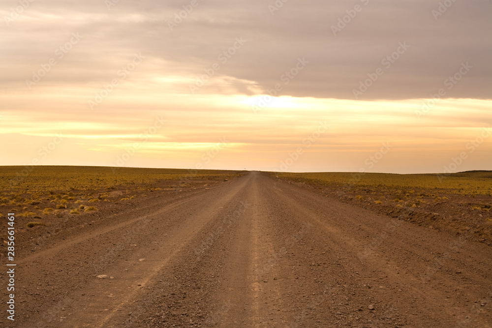 Naklejka premium Road in the Altiplano (high Andean plateau) at an altitude of 4000m, Los Flamencos National Reserve, Atacama desert, Antofagasta Region, Chile, South America