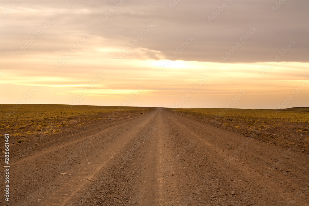 Road in the Altiplano (high Andean plateau) at an altitude of 4000m, Los Flamencos National Reserve, Atacama desert, Antofagasta Region, Chile, South America