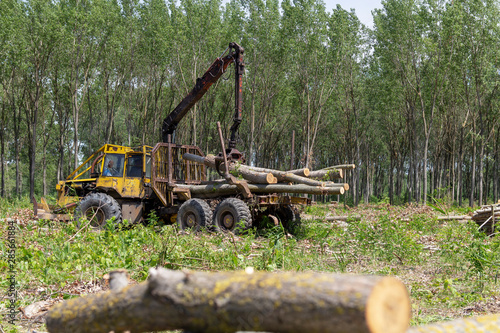 Lumber Industry - Loading A Truck With Tree Logs