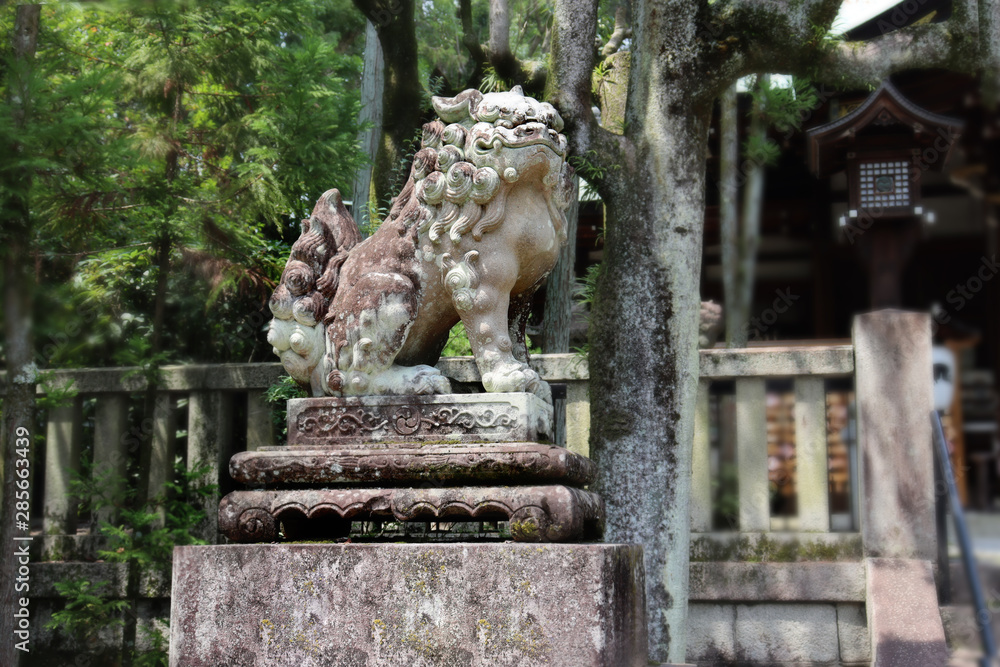 Black and white photo ,Shisa or Shishi ,Imperial guardian lions image in Japan,The male lion's jaw image for .becky fortune came at Higashi Tenno Okazaki Shrine ,Kyoto,Japan. Black and white photo ,Shisa or Shishi ,Imperial guardian lions image in Japan,The male lion's jaw image for .becky fortune came at Higashi Tenno Okazaki Shrine ,Kyoto,Japan.