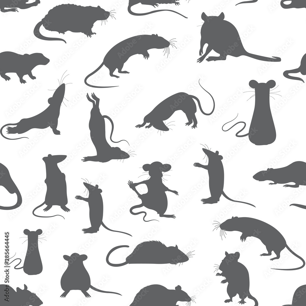 Rats seamless pattern. Rat poses and exercises. Cute cartoon clipart set