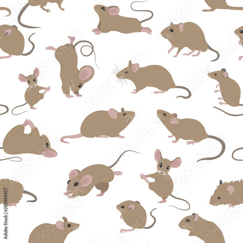 Mice seamless pattern. Mouse yoga poses and exercises. Cute cartoon clipart set