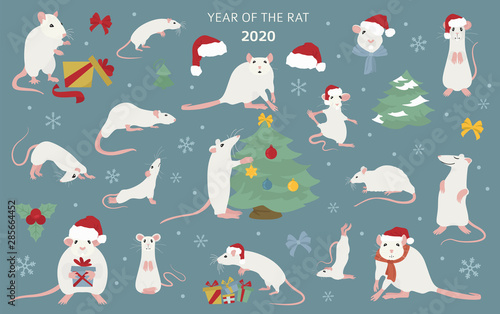 Different rats christmas collection. Rat poses and exercises. Cute cartoon new year clipart set