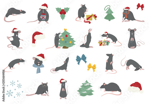 Different rats christmas collection. Rat poses and exercises. Cute cartoon new year clipart set