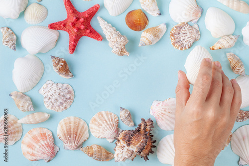 Women's hand hold a seashell on a blue summer background with different shells and starfish. Sea marine holiday instagram flat lay. Vacation background. Top view. Copy space
