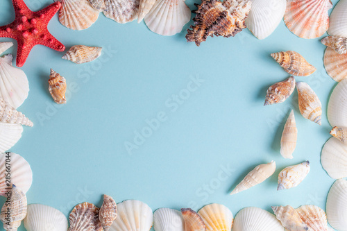 Frame of shells on a blue background. Seashells and starfish on a pastel background. Vacation concept. Flat lay. Top view.