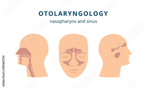 Otolaryngology - ear, nose and throat health icon set with human head in profile and front view
