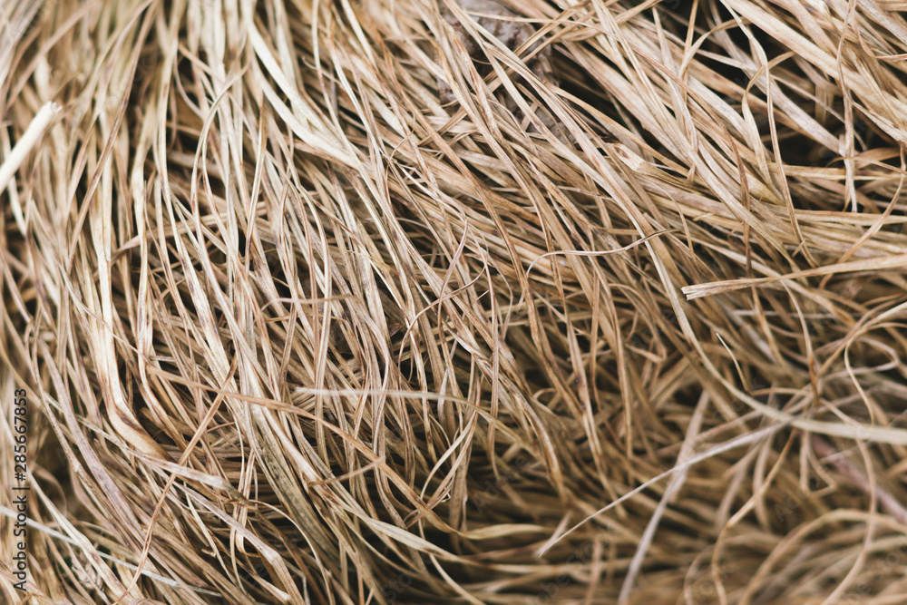 Dry grass background or texture. Close-up. Dry grass background or texture. Close-up.