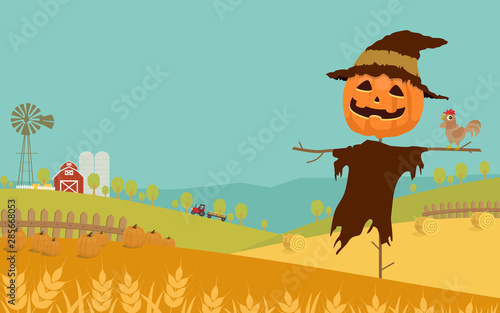 Halloween day background with wheat, harvested pumpkins, straw bale, farm field, barn and Jack-'o-lantern scarecrow. Vector illustration.