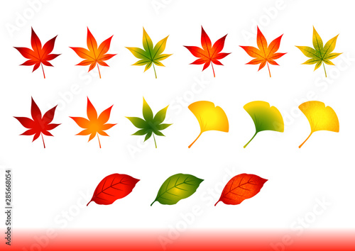 もみじやイチョウ 秋の紅葉いろいろ  Ginkgo and Momiji leaves