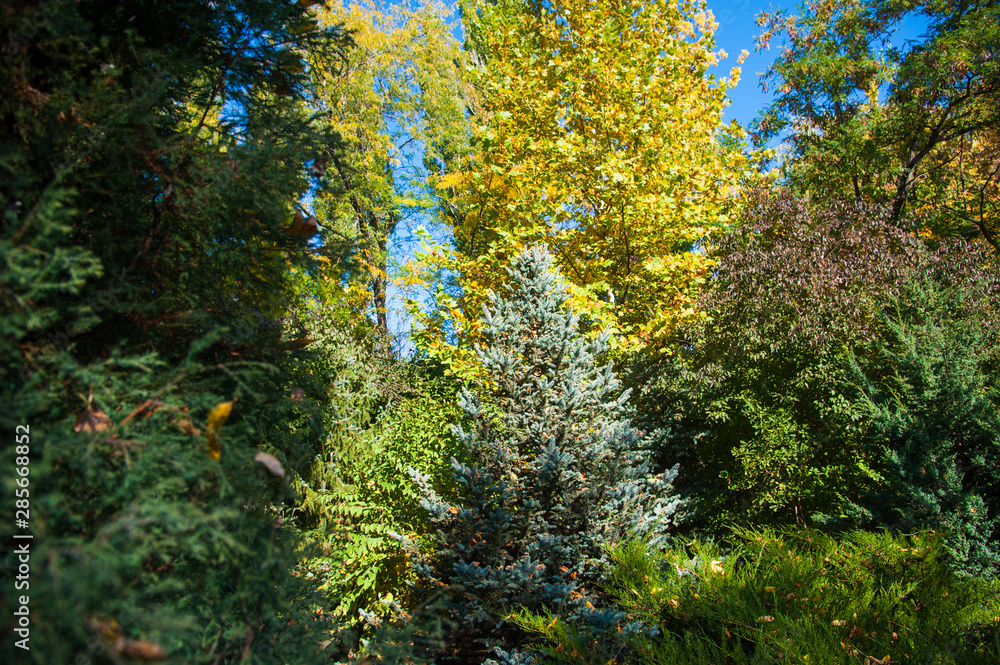 Sunny autumn day in the city park Sunny autumn day in the city park