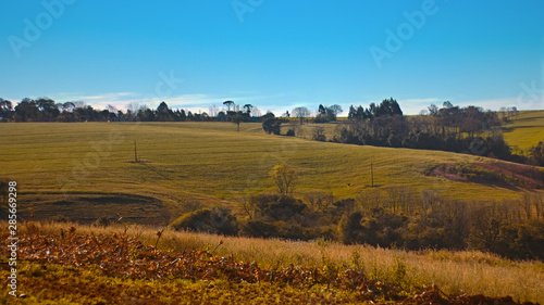 autumn landscape with wheat field and blue sky
