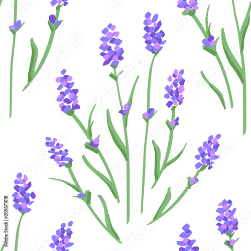 Beautiful Lavender Flower Pattern. Seamless Background. Vector.